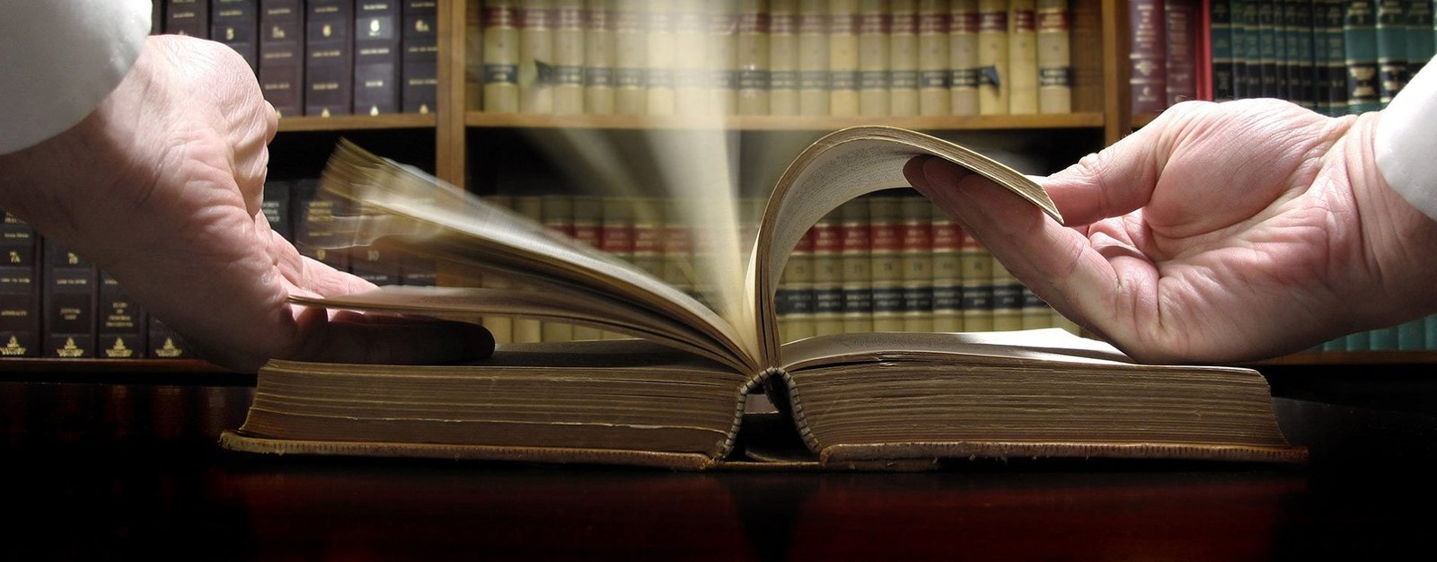 lasvegasbankruptcyatty.com-Dorothy-Bunce-attorney-law